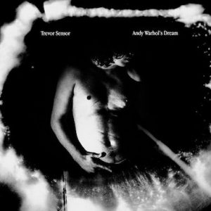 Trevor Sensor - Andy Warhol's Dream - sorties musique du Vendredi 16 juin 2017