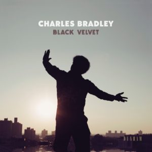 Charles-Bradley-Black-Velvet- sorties musique du 9 novembre 2018