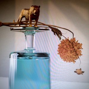 Beirut - Gallipoli - sorties musique février 2019